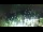 Webcam in Strobl, 7.4 km
