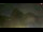 Webcam in Santa Cristina Gherdëina, 0.2 mi away