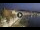 Webcam in Pantelleria, 62.6 mi away