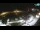 Webcam in Mlini, 8.1 km