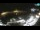 Webcam in Mlini, 2.8 mi away