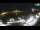 Webcam in Mlini, 26.8 mi away