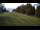 Webcam in Maribor, 11.4 km