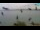 Webcam in Bale, 9.8 km