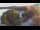 Webcam in Bale, 19.8 km entfernt