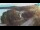 Webcam in Bale, 7.6 mi away