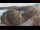Webcam in Bale, 10.3 mi away