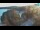 Webcam in Bale, 10.9 mi away