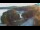 Webcam in Bale, 12.4 km