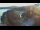 Webcam in Bale, 19.8 km