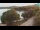 Webcam in Bale, 5.2 km entfernt