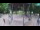 Webcam in Karlovac, 21.2 km