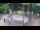 Webcam in Karlovac, 27.9 km