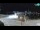 Webcam in Nin, 10.9 km entfernt