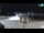 Webcam in Nin, 14.4 km entfernt