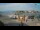 Webcam in Nin, 13.1 km