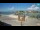 Webcam in Nin, 5.7 mi away
