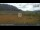Webcam in Walchsee, 7.6 km