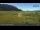 Webcam in Walchsee, 9.8 km