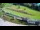 Webcam in Celje, 6.9 km entfernt