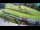 Webcam in Celje, 0 km entfernt