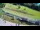 Webcam in Celje, 0 km