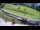 Webcam in Celje, 10.8 km
