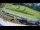 Webcam in Celje, 10.8 km