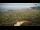 Webcam in Kolan (Pag), 3.2 km entfernt