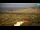 Webcam in Kolan (Pago), 22.7 km
