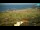 Webcam in Kolan (Pag), 7.7 km