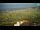 Webcam in Kolan (Pag), 67.8 km entfernt