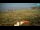 Webcam in Kolan (Pag), 5.2 mi away