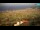 Webcam in Kolan (Pag), 2.8 km