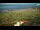 Webcam in Kolan (Pag), 5.2 km