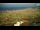 Webcam in Kolan (Pag), 1.9 km