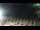 Webcam in San Vincenzo, 14.2 mi away