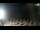Webcam in San Vincenzo, 5.9 mi away
