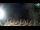 Webcam in San Vincenzo, 32.5 km