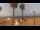 Webcam in Alboraya, 8.1 mi away