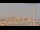 Webcam in Burriana, 10.3 mi away