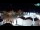 Webcam in Fažana, 2.8 mi away