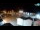 Webcam in Fasana, 12.6 km