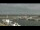 Webcam in Tejn (Bornholm), 18.5 km