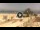 Webcam in Santa Barbara, California, 45.4 mi away