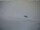 Webcam in Adelboden, 2.5 mi away
