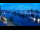 Webcam in Riga, 7 mi away