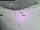 Webcam at the Susten Pass, 7.3 mi away