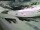 Webcam am Sustenpass, 14.7 km entfernt