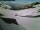 Webcam al Passo del Susten, 8.1 km